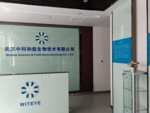 十二年匠心鑄就，專業(yè)發(fā)光字與廣告牌制作安裝專家——聚焦武漢噴繪招牌與廣告設(shè)計(jì)